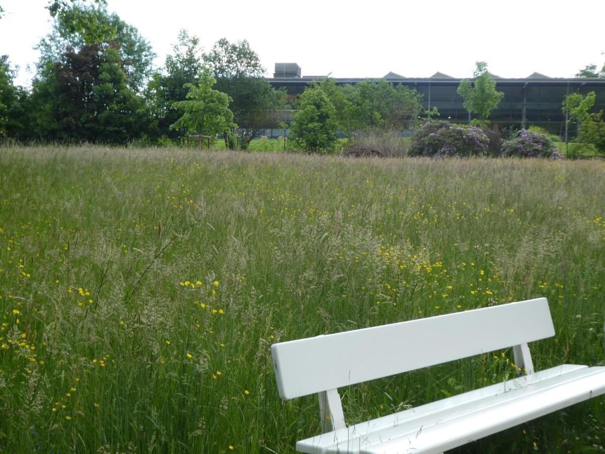 Ferienwohnung Am Hirschpark 바트피르몬트 외부 사진