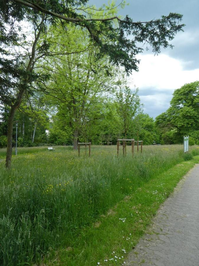 Ferienwohnung Am Hirschpark 바트피르몬트 외부 사진